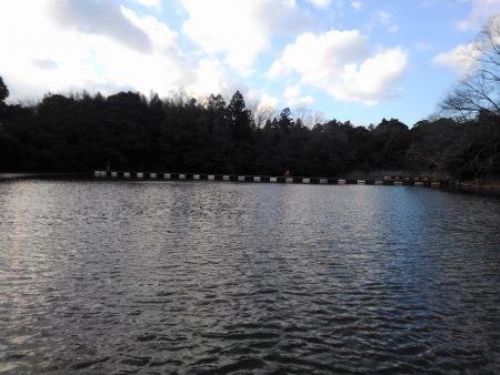 大安トラウトレイク 釣果